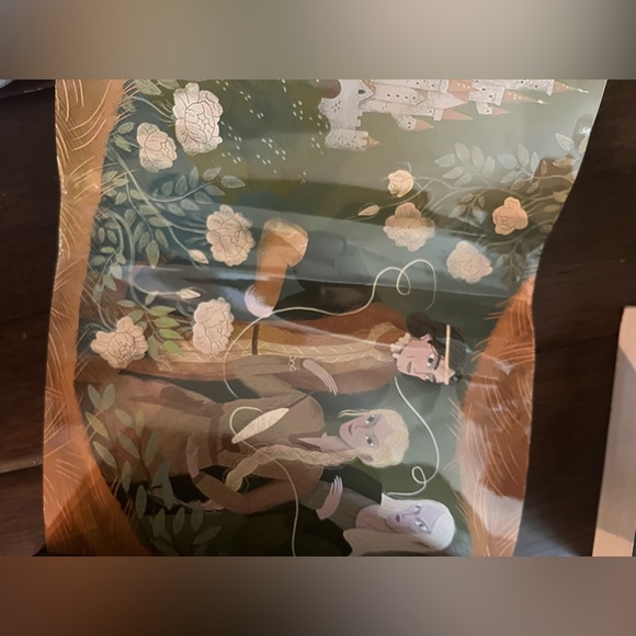 Gold Spun Bookish Box edition - Picture 3 of 4